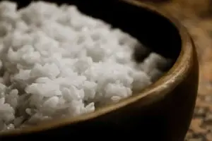 Rice cooker