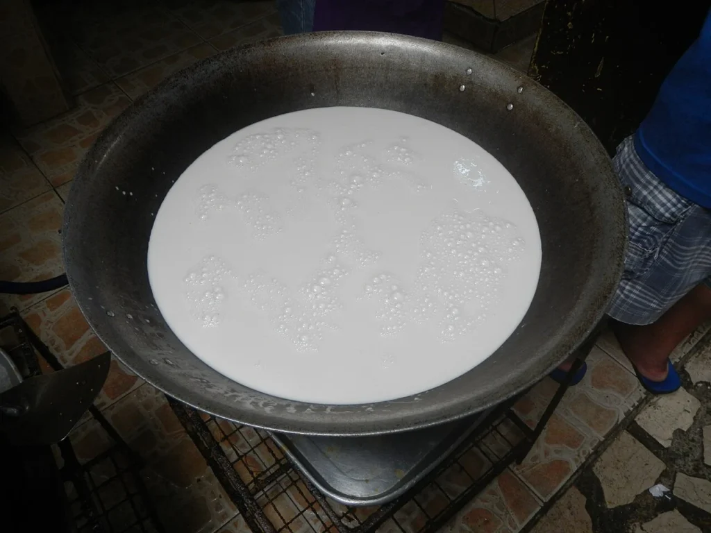 Coconut milk substitute: what to use instead