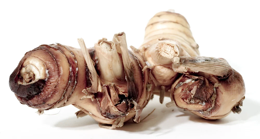 Galangal substitute: what to use instead